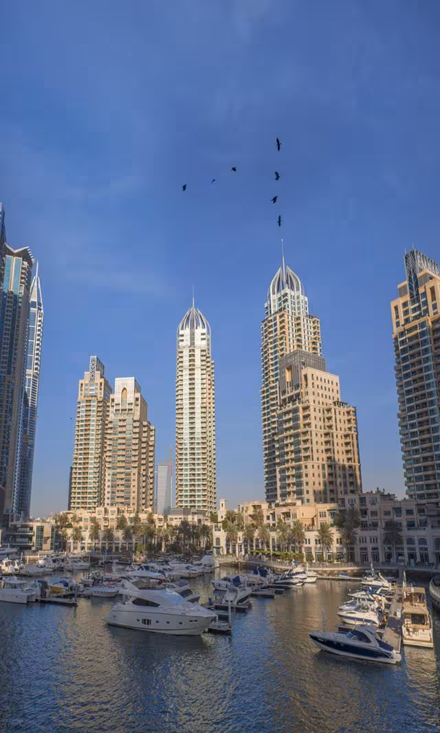 🌐 Dubai Highlights: Past and Future | 杜拜經典全景之旅:穿梭過去與未來:圖片 2
