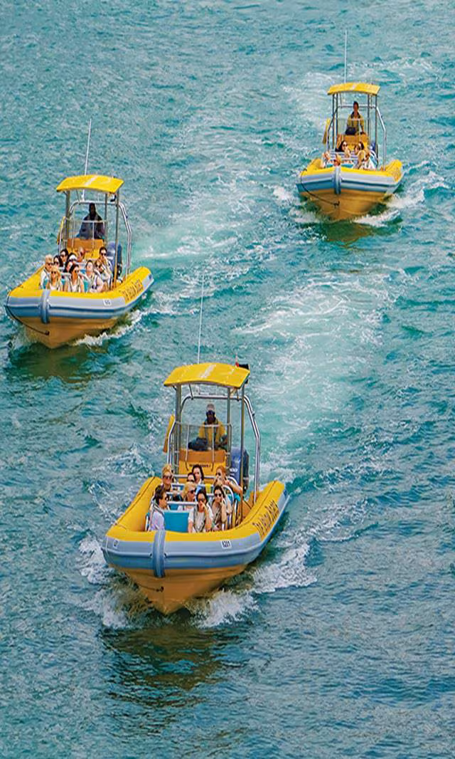 🌊 海濱逐浪與雙城狂飆:娛樂、水上極限與奢華 2 日全日制行程(Waterfront Leisure and Adventures):圖片 3